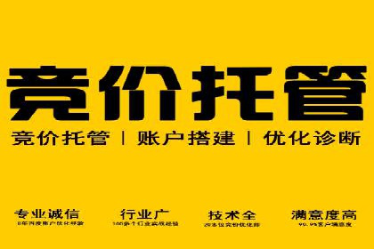 百度竞价推广案例：打造高效营销策略